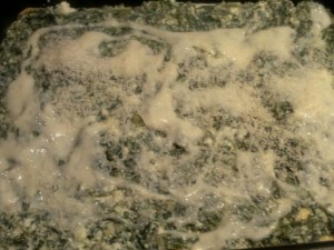 Lasagne ricotta e Spinaci