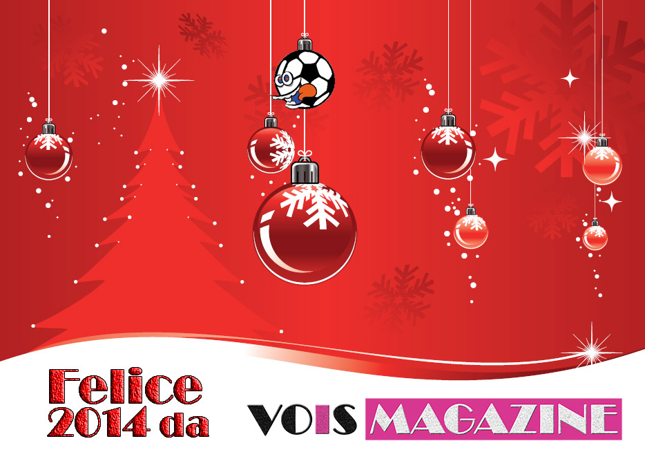 vois-2014