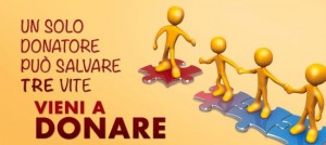 dona sangue