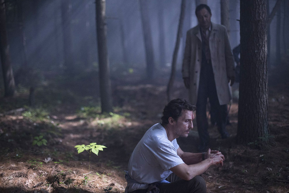 MatthewMcConaugheyKenWSeaofTreesCannes_article_story_large